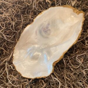 Handcrafted Oyster Shell Trinket Large Pearl Iridescent Finish